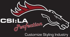 Logo der CSI:LA Perfection